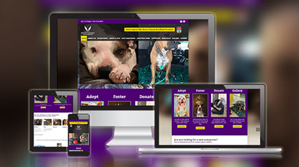 pitbull rescue website