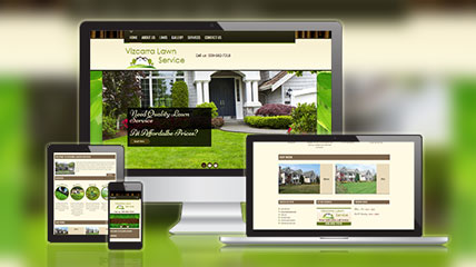 vizcarra lawn service website